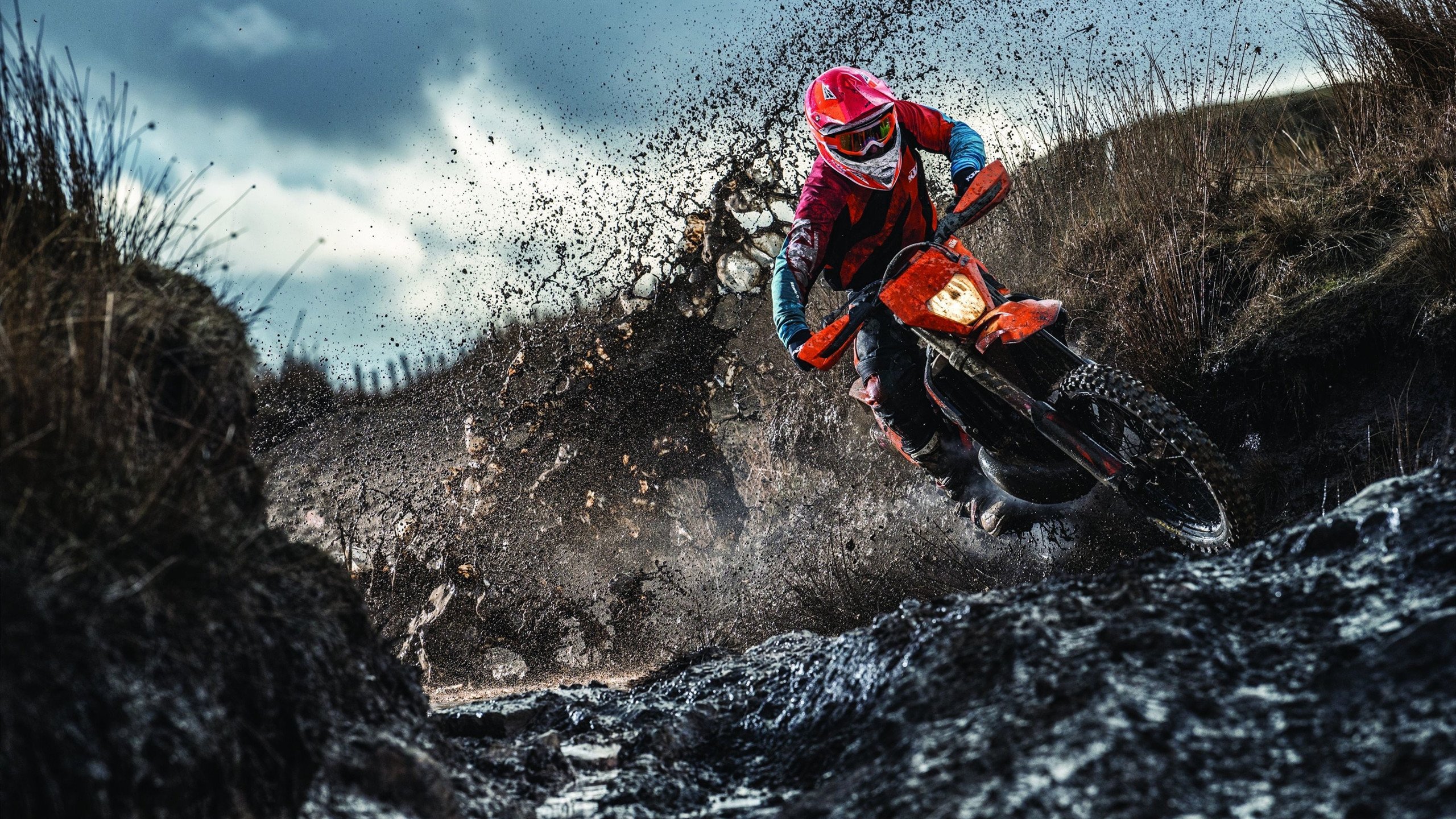 乡村运动会，乡村振兴新动力，乡村运动建设