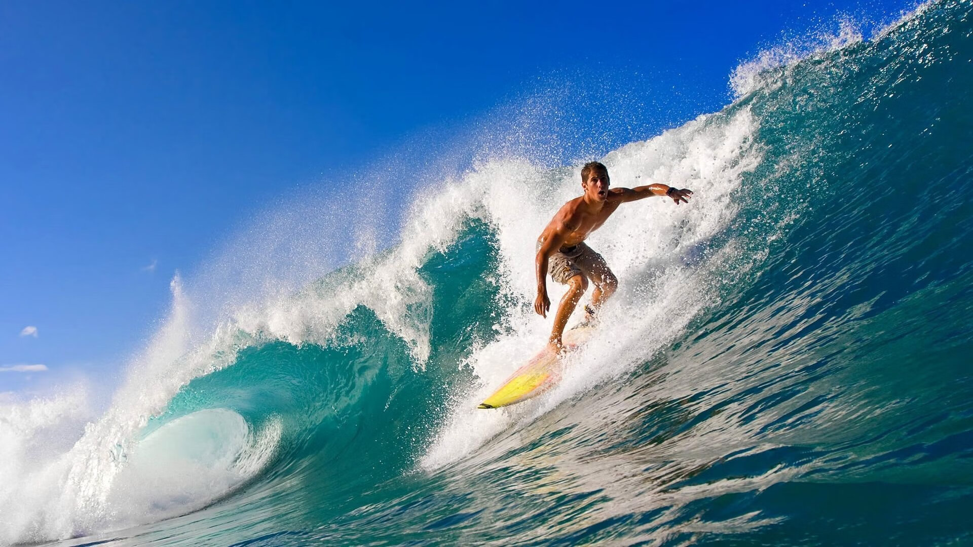 kaiyun网站-逆境奋战：球队在困难时刻的拼搏精神，逆境中奋起